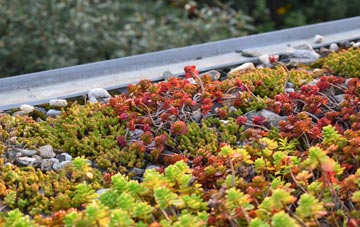 the cost of Nethercott green roof installation