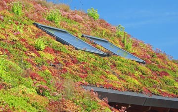 Nethercott living roof systems